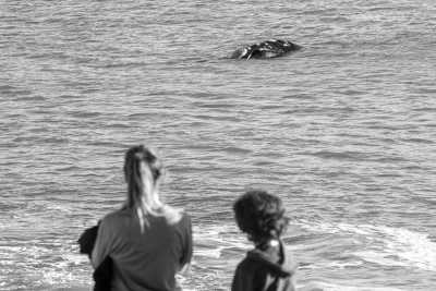 Brazil - Imbituba - Unforgettable Trip to Brazil: Trekking, Surfing, Yoga, Whale Watching, and More - 2