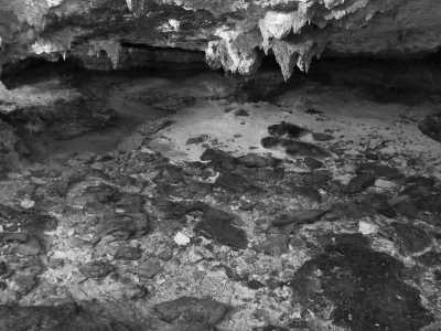 Mexico - Gran Cenote - Explore the Natural Wonders of Cancun, Mexico