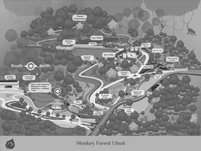 Indonesia - Ubud - Explore my Hometown Bali and Nusa Penida Island, Indonesia - 5