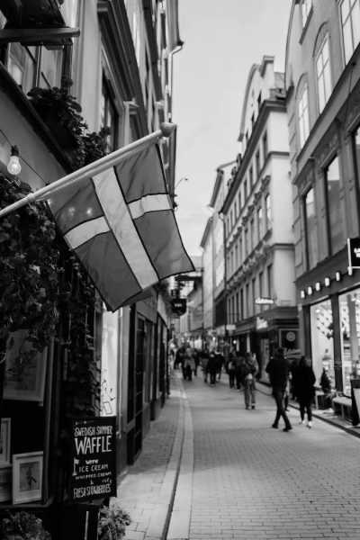 Schweden - Stockholm - Dog Sledding Tour in Sweden - Huskies, Northern Lights and Wilderness - 2