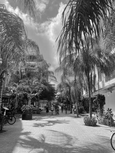 Mexiko - Playa del Carmen - Tacos, Tequila and Turtles - Yucatan, Mexico - 1