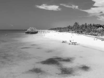 Tanzania - Zanzibar: Co-Working in Paradise 🐚💻 (private rooms) - JoinMyTrip