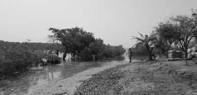 Gambia, The - Mr. B's adventure camp on paradise island - Abenteuerreise nach Paradise Island in Afrika - Gambia (Guided Trip) 😊 - 8