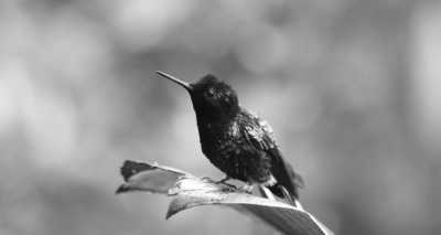 Ecuador - Quito - Ecuadorian Andes Expedition: Immersing in Nature and Culture Amidst Breathtaking Landscapes