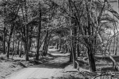 Kenia - Lake Nakuru National Park - Kenya Safari in 7 Days Visit 4 Destinations in Kenya - 1