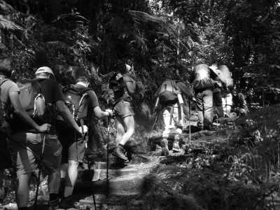 Tanzania - Mandara Huts - Unleash the Adventure of a Lifetime: Hiking Kilimanjaro in Tanzania - 2