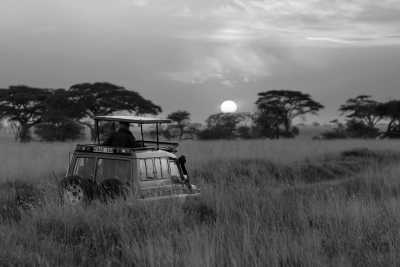 Tanzania - Ngorongoro Conservation Area - 6 Days Tanzania Safari to Lake Manyara, Serengeti and Ngorongoro Crater