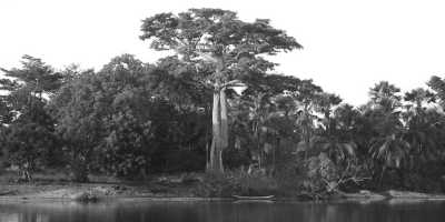 Senegal - Campement de l'île d'Egueye - Sailing Adventure in the Casamance of Senegal - 7