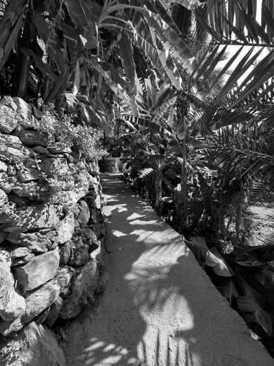 Oman - Misfah al Abriyyin - Oman 4x4 Road Trip: Explore Off-Road Adventures and Scenic Landscapes