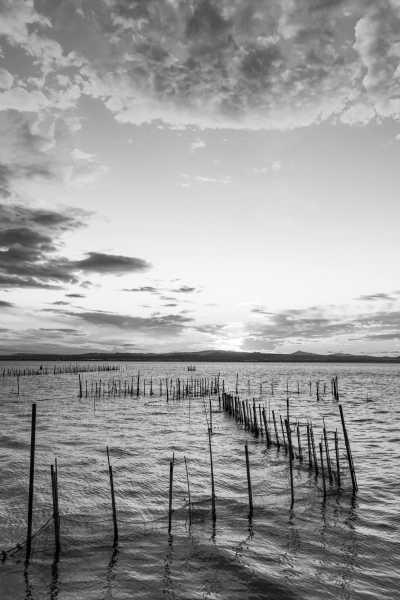 Spanien - Valencia - Northern Spain Food Adventure: Roadtrip Valencia, San Sebastián, Madrid. - 3