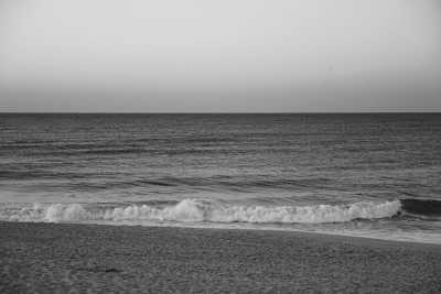 Portugal - Praia do Dragão Vermelho - All-inclusive Yoga & Nature Retreat at Beachfront Spa Resort in Portugal: Explore the Sand Forest with a Local ॐ - 1