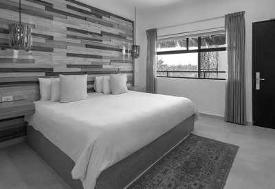 Mexico - Tulum Beach - Home Office in TULUM, Mexico with a Local: Beach, Cenotes, Fantastic Food and Much More! 🔜🌴 - 5