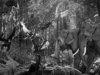 Indonesien - Lombok Wildlife Park - Backpacking Through Lombok Island in Indonesia - 2