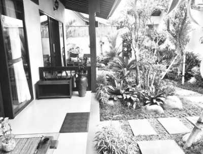 Indonesia - Canggu - Balinese lifestyle (Guided Trip): beach 🌊 surfing 🏄‍♀️ fun 🍹 and more! ☀️ - 4