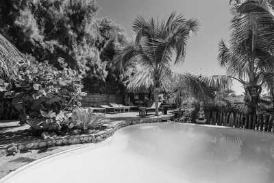 Peru - Máncora - Surfing in Paradise 🏄🏽‍♀️☀️ Sandy Beaches, Palm Trees & Pisco Sours in Máncora, Peru - 6