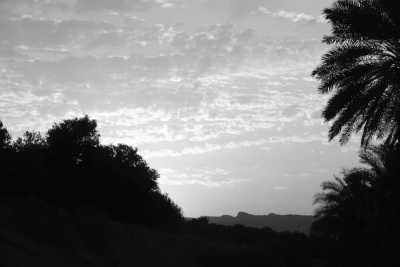 Egypt - Mangrove Camp Fayoum - Fayoum, Egypt: Immerse Yourself in Nature for a Memorable Getaway - 2