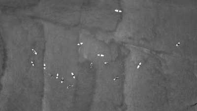 Portugal - Ericeira - Surf Trip in Ericeira, Portugal with a Local Guide 🇵🇹 Waves, Skate, and Yoga 🏄‍♂️🛹🧘🏼‍♂️ - 23