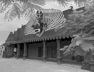 Indonesia - Banyuwangi Park - Travel to Banyuwangi, Indonesia with a Local - 1