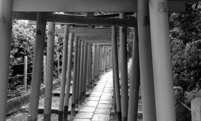 Japan - Kyoto - 🇯🇵 Japan: Climb Mt Fuji 🏔️, Mario Kart in Tokyo 🏎️, Meet a Geisha, Universal studios, Temples, Numerous cities 🥳 - 2