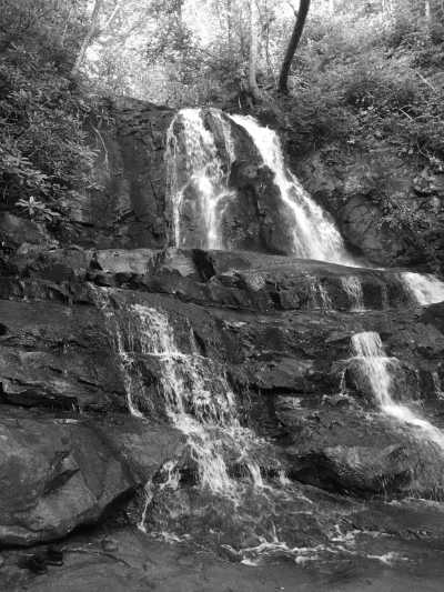 United States - Clingmans Dome - USA Road Trip - Spring Rhododendrons in Blue Ridge parkway and Great Smoky Mountains, tunnels and waterfalls! - 2