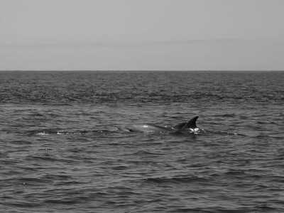 Spain - Los Cristianos - Discover Tenerife's Hidden Gems on a Guided Trip Off the Beaten Track - 2