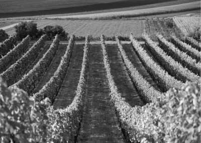 Spain - Ibiza - Discovering the Balearic Islands, Spain: A Week of Beaches, Wines, and Mediterranean Cuisine in Mallorca and Ibiza - 2