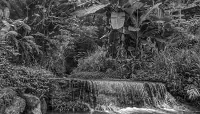 Colombia - La Tigrera - 7 days immersive healing journey in the Sierra Nevada mountains!