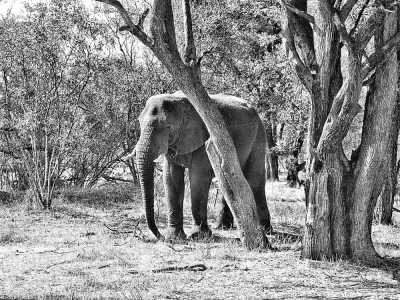 Eastern Africa - Mosi-oa-Tunya National Park - Lets Tour Africa! 3 Countries in 8 days Zambia, Botswana and Zimbabwe ✈️🌞 Jobs fill your pocket, adventures fill your soul 😊❤️ - 2