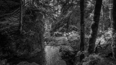 Germany - Lainbach-Wasserfall - Herzogstand - Heimgarten Ridge | A Magical Experience | Walkshop Light | German Alps | - 7