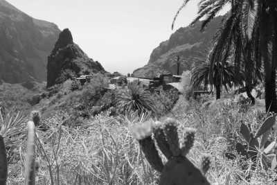 Spain - Masca - Spain With Nancy Sevilla - 2