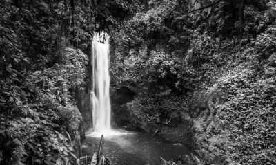 Costa Rica - Poás Volcano - Majestic Adventures in Costa Rica: Beaches, Volcanoes, Hot Springs, Cloud Forest, and Pura Vida Lifestyle! - 6