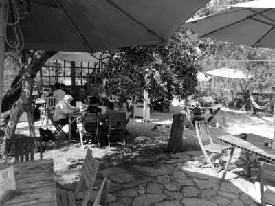 Romania - Viscri 32: White Barn and Blue House - Transylvanian Expedition Chapter One: Step into The Legends of Transylvania - 1