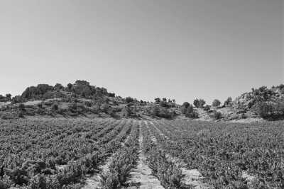 Libanon - Deria - Discover Lebanon's Coastline from Beirut to Batroun - 27