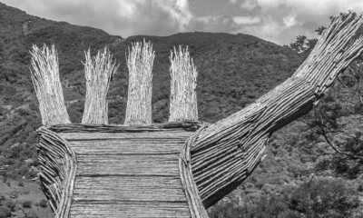 Costa Rica - Punta Leona - Majestic Adventures in Costa Rica: Beaches, Volcanoes, Hot Springs, Cloud Forest, and Pura Vida Lifestyle! - 17