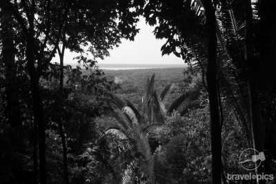 Brazil - Resex Tapajós arapiuns - Amazon Expedition: 14-day Immersion in Nature and the Riverside Communities of the Amazon. - 4