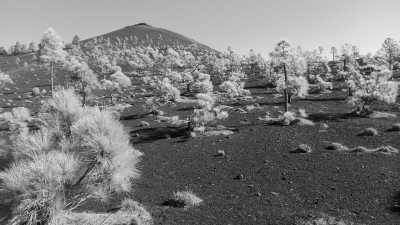 Spanien - El Paso - La Palma, Spain: La Isla Bonita  Abenteuer, Faszination und Abwechslung auf der Vulkaninsel 🌋
