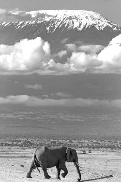 Tanzania - Machame Gate - Mount Kilimanjaro - Mount Kilimanjaro and Safari. - 1