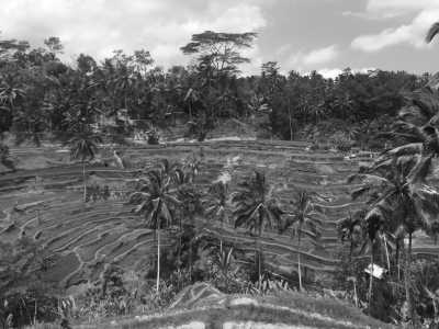 Indonesia - Kuta - Adventures in Paradise - Work from Bali, Indonesia