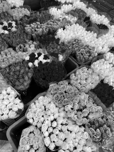 Mexiko - La Condesa - Spend a Week Like a Local in Mexico City - 4