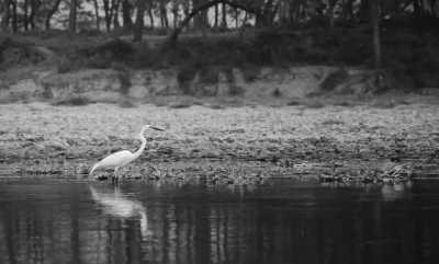 Nepal - Chitwan National Park - Explore the Best of Nepal: Kathmandu, Pokhara, Chitwan, Lumbini, and Janakpur Trip - 2