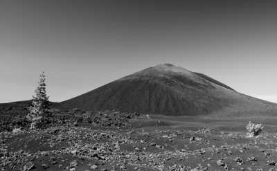 Spain - Chinyero Volcano - 🌋TENERIFE PARADISE 🏝️ Come Explore the Best Spots of the Island! - 1