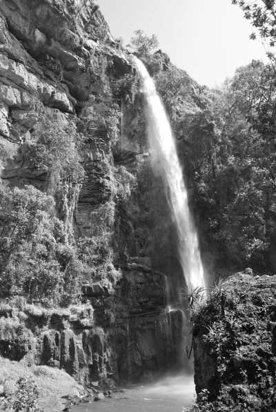 South Africa - Sabie - Südafrika: Wilde Tiere, der Krüger Nationalpark, Blyde River Canyon und Johannesburg - 6