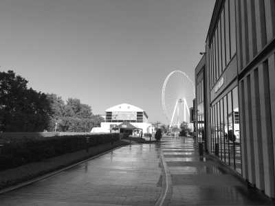 United Arab Emirates - Jumeirah Beach - CoWorking in Dubai with a local! + Evenings at the Beach 💻 - 5