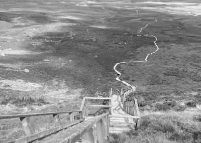 Northern Europe - Cuilcagh Mountains - Wohnmobil Abenteuer durch Irland 🇮🇪🚐