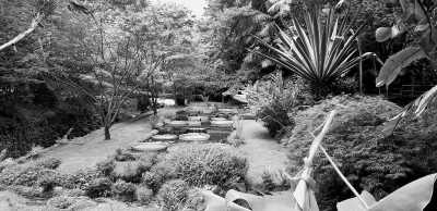 Portugal - Furnas - Discover the Natural Wonders of São Miguel, Azores: Hiking and Hot Springs Adventure in Portugal - 1