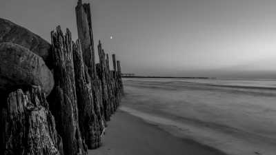 Lithuania - Guided Baltic Sea Vacation in June - Seaside Apartment, Wellness, Sauna and Bike Trip! - JoinMyTrip