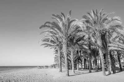 Spanien - Playa la Malagueta - FUN & RELAX trip in Sunny Málaga 💃🏖️🌅 - 5