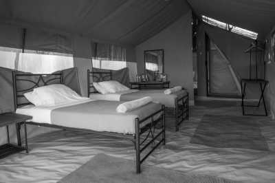 Tansania - Serengeti National Park - Tanzania Safari - Single Private room (1pax) - 2