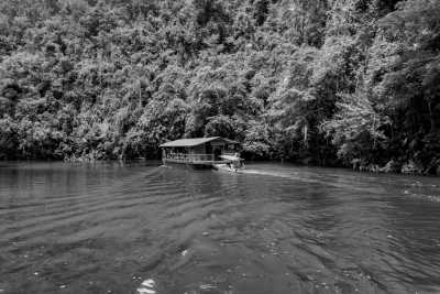 Philippines - Bohol - 9-day City and Island Hopping Paradise: Exploring Manila, Cebu, and Bohol in the Philippines - 1