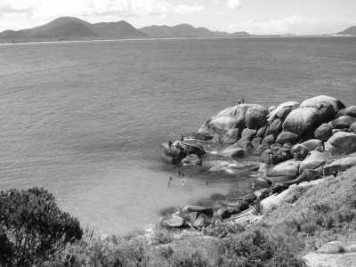 Brazil - Florianópolis - Backpacker's Paradise: 7 Days of Beaches, Culture, and Adventure in Florianopolis, Brazil - 3